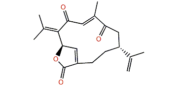 Isogersemolide A